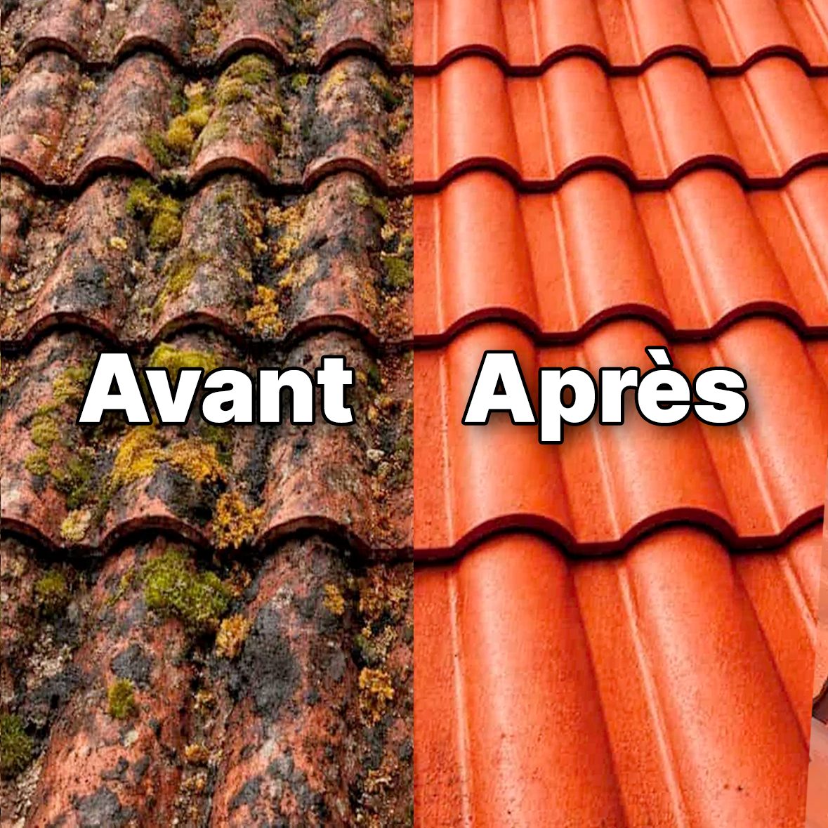Avant / après traitement de toitures