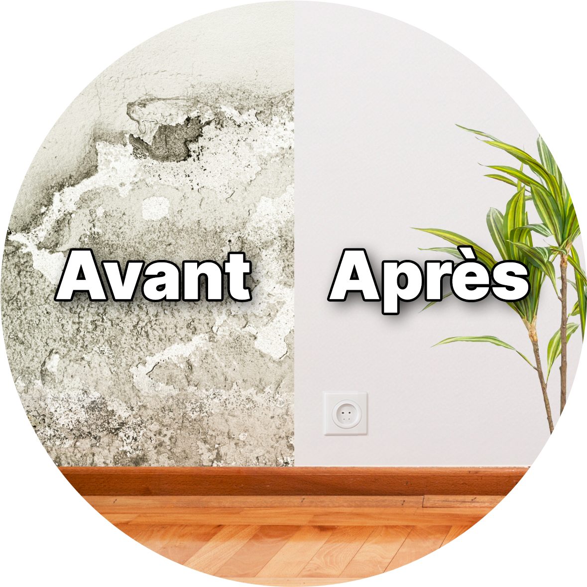 Avant / après traitement des murs humides